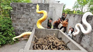 Three brave soldiers used high-tech snake detectors to locate the nest of a giant python.