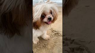 Maggie, Ma Mjb With Mdarshad Cool In Ocean Feels Like Heaven