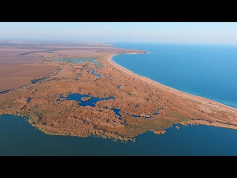 Видео: Разлика между езерото и морето