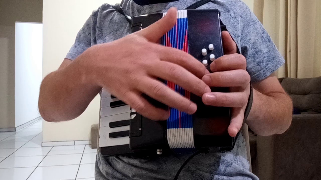 Acordeon 8 baixos Notas, Acordes e Ritmos vídeo aula