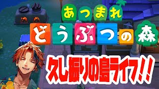 【あつまれどうぶつの森】久し振りに島に来ました。僕のことを皆覚えているでしょうか、楽しみです【ホロスターズ/夕刻ロベル】