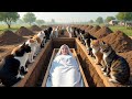"Makam Gadis Hafizah Qur’an dan Keajaiban Kucing | Kisah Seorang Gadis Penghafal Qur’an"