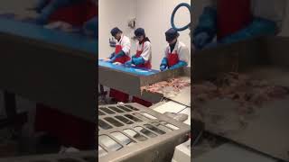 2017 Baader 176 flatfish filleting machine