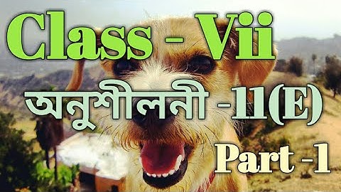 Class 7 Math Ex-11(E) Part 1 Solution in Assamese/Babu