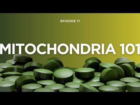 Mitochondria 101: The