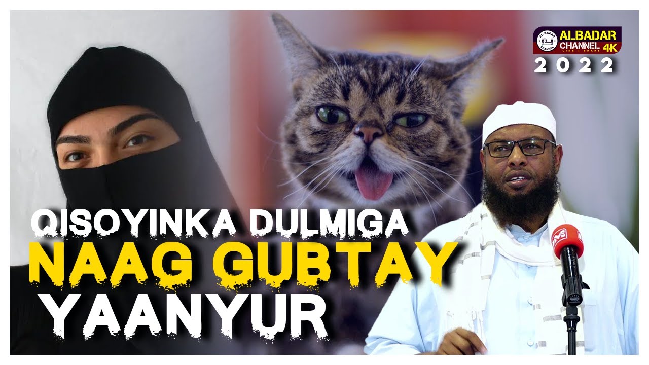 Ramadaan Qisooyinka aan goob joog ka ahaa Dulmiga  ᴴᴰ sheekh maxamuud xaliike