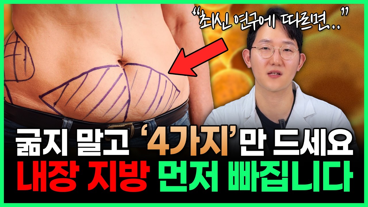 빡센 운동 없이 굶지 않고 내장 지방 쏙 빼는 식단 4가지 | 최신 연구로 밝혀진 내장지방 쉽게 빼는 방법