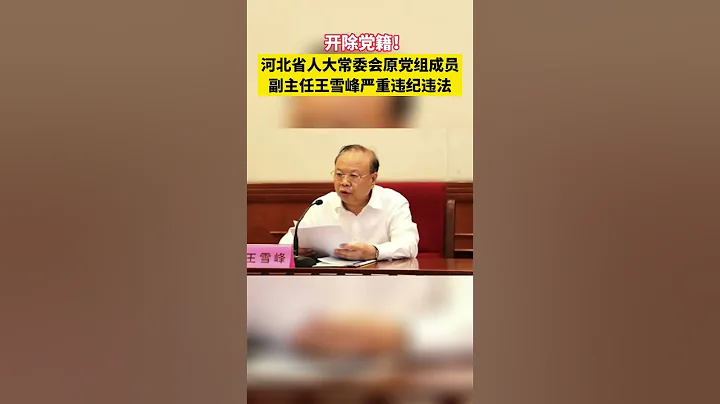 河北省人大常委会原党组成员、副主任王雪峰严重违纪违法被开除党籍#遵纪守法 - 天天要闻