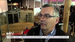 VU D'ICI : Saint Christophe en Brionnais, le temple de la Charolaise