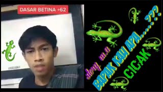 STORY W.A UNTUK BETINA +62 (BAPAK KAU CICAK)🦎🤣 KOCAK ABIS DEH