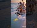 The magical Princess and mermaid friendship tale #shots #mermaid #shortvideo