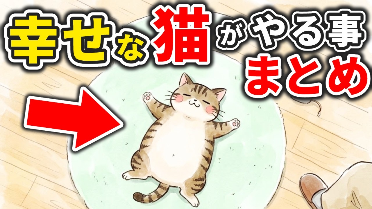瞑想猫(*´꒳`*) サバトラ　 オシキャット YouTube