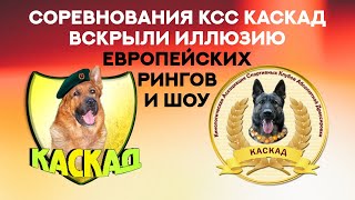 История соревнований КСС КАСКАД. Что будет, если проснётся ДОСААФ? KSS KASKAD competition.