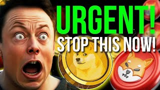 🚀 Dogecoin & Bitcoin News Today: Elon Musk’s Latest Revelation! 🌟