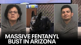 Deputies, K-9 Kilo, track down suspects trafficking $1.4M worth of fentanyl, deputies say