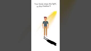 Celebrity What Makes a Shadow? | Fun Science for Kids Profile