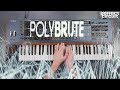 Arturia PolyBrute Analog Expressive Polyphonic Synthesizer Sounds