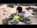 Succulent Dish Gardens   Attila's Way