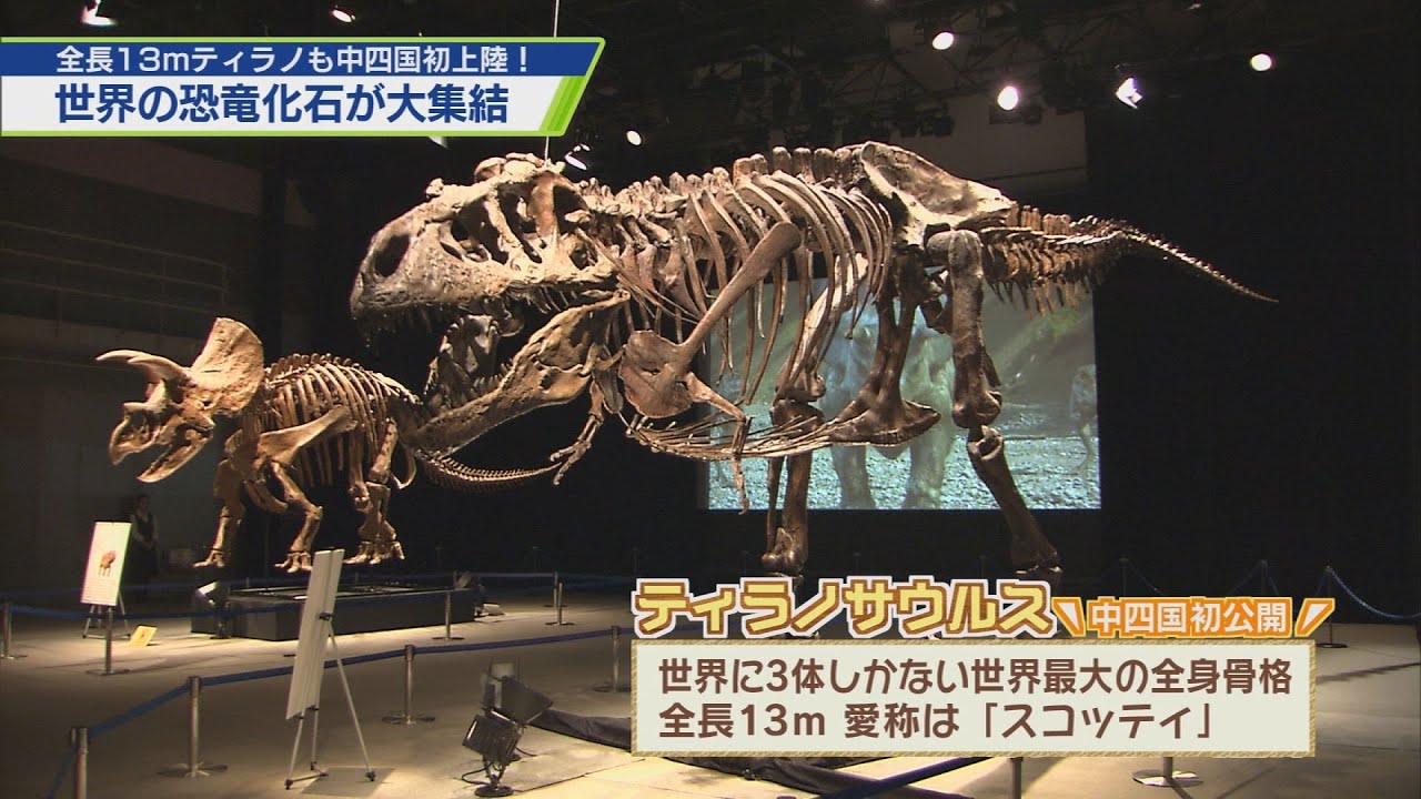世界の化石が大集結！トクシマ恐竜展2024【テレビトクシマ】 - YouTube