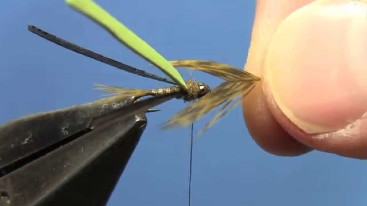 Fly Tying with Hans Split Back Baetis Nymph YouTube
