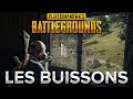 Pubg  les buissons