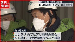 【ヒアリ】定着ギリギリ…対策確認  山口環境相が東京港など視察