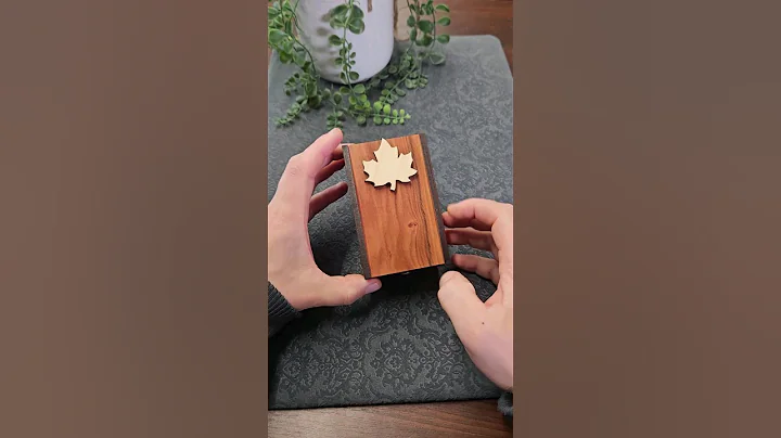 Can you open the Radbox?!! #puzzle #puzzlebox #brainteaser #amazing