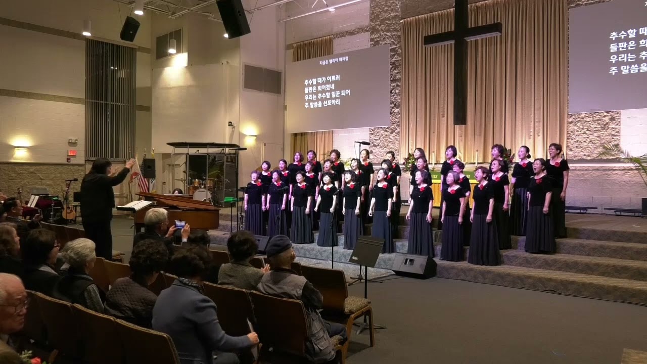 지금은 엘리아때 처럼; Solo; 손미영 Descanto; 전선후