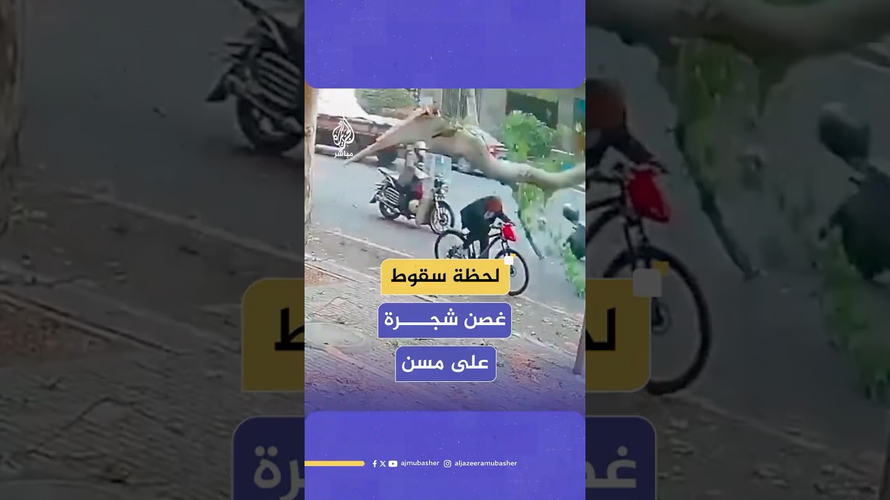 غصن شجرة يسقط على رجل مسن يقود دراجته في الصين ويفتح مواجهة قضائية