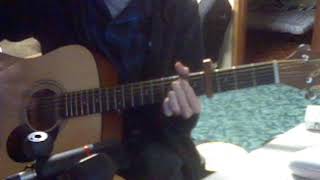 Wingo Jx09 Capo Jasmine S35-U Review