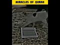 Miracles of Quran | Miracles of Allah #shorts