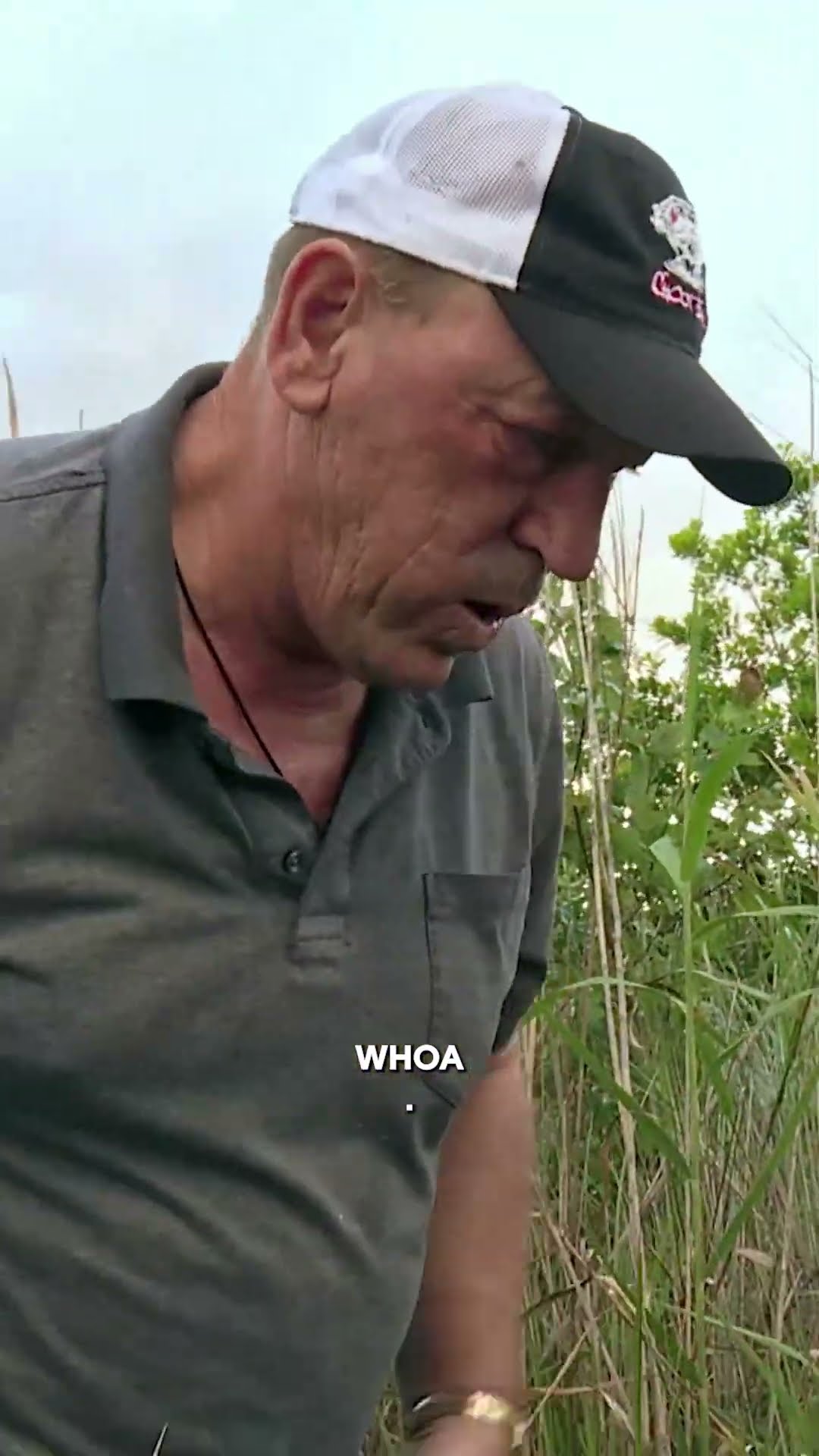 Pickle Catches a MEAN Python | Swamp People: Serpent Invasion | #Shorts