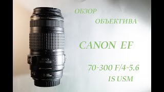Обзор объектива Canon EF 70-300mm f/4-5.6 IS USM
