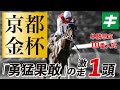 京都金杯 2022 【予想】中京開催だからこそチャンス！「勇猛果敢」のイチオシ応援馬とは！？