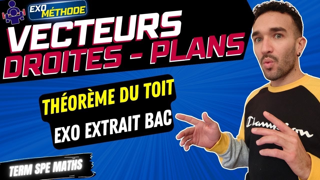[TERM SPÉ MATHS] VECTEURS DROITES ET PLANS / THÉOREME DU TOIT / EXO CORRIGÉ 😺EXTRAIT BAC 🐱‍👤