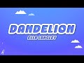 Ella Langley Dandelion Lyrics mp3