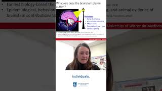 Development of Brain Stem Measures