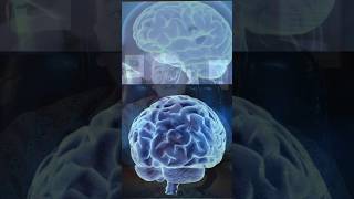 Supercomputer!" 🧠⚡#facts #✅ "Your Brain Is Smarter Than Any Supercomputer! #ScienceFacts #factholic