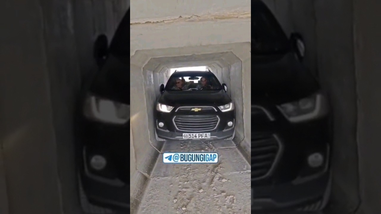 Бунақасини анниқ кўрмагансиз. видеога лайк босамиз, #shorts #short #shortvideo #shortsvideo