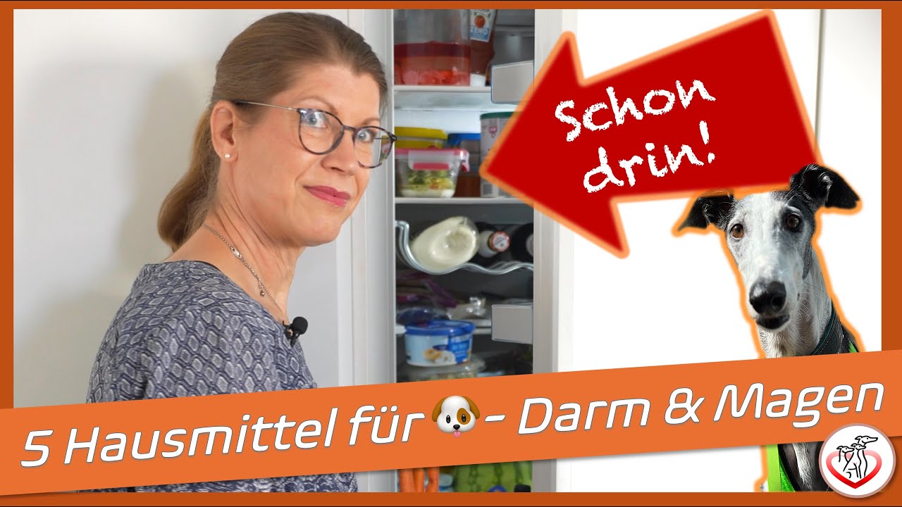 5 unerwartet gute Mittel für Magen und Darm Deines Hundes - die du schon in deinem Schrank hast!