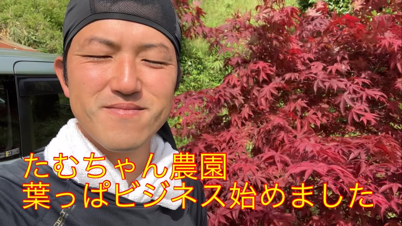 ⑰ I started a leaf business 2023.6.1 - YouTube