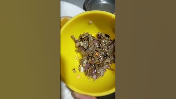 Dal with dry fish chatni 🤤🤤#shorts #dalrecipe #dryfishrecipe #dryfishchutney #dinner