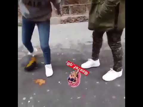 تحميل فيديوهات ليدي بيرد