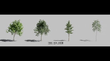 Tree Rig C4d