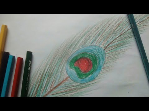 how to draw peacock feathers for kids।। কীভাবে ময়ুরের পালক আঁকতে হয়।।