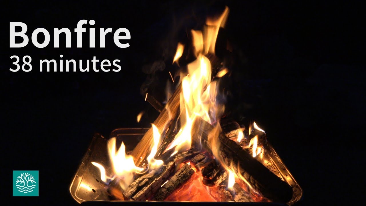 4k 焚き火のbgm動画 薪が燃え尽きるまで 作業用映像 Youtube