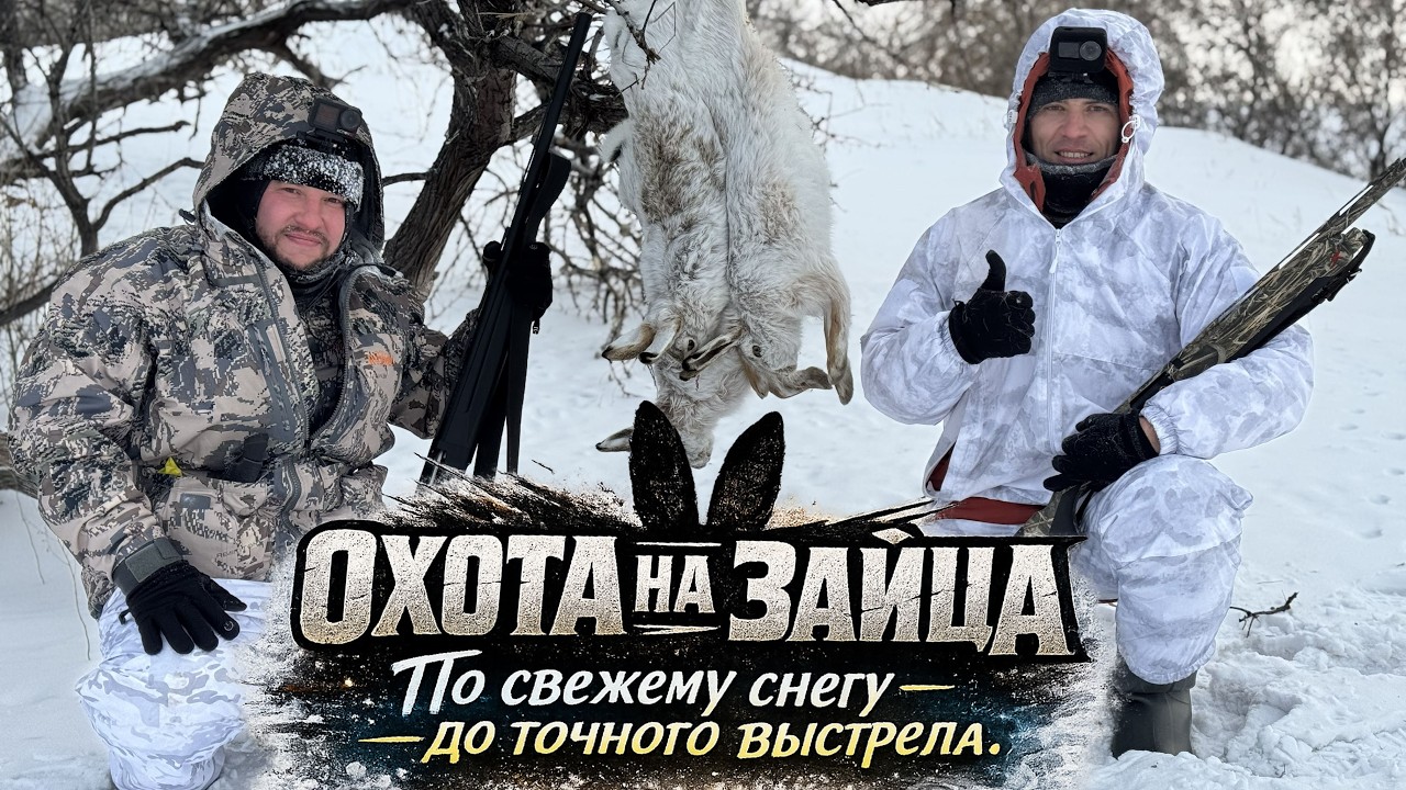 Охота на зайца 2026 По свежему снегу — до точного выстрела