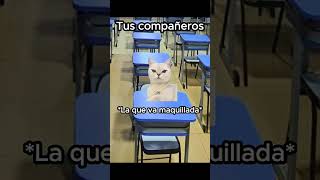 de regreso a clases #clasesgatos #cute #gatitos #cat #fansdegatilovers #gatos #divercion#humor#viral