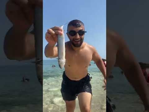 Türkiyenin en temiz denizinde balık tutan Sinyor Taklacı❗#shorts #sinyortaklaci