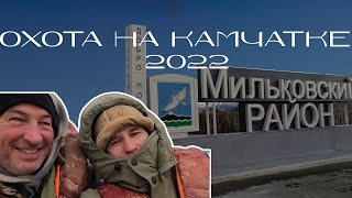 Камчатка, утки, медведи и охота 2022